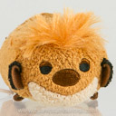 Timon